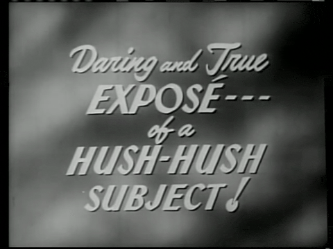 Trailer for Glen or Glenda (1952).mp4.9.gif