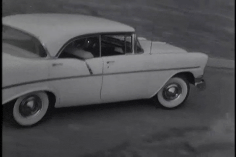 Trailer for Teenagers from Outer Space (1959).mp4.9.gif