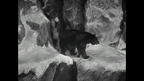 Trailer for The Gold Rush (1925).mp4.7.gif