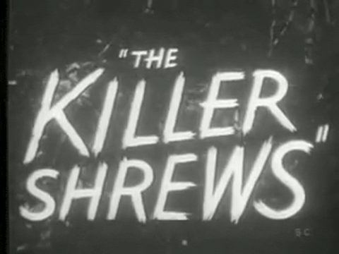 Trailer for The Killer Shrews (1959).mp4.2.gif