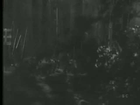 Trailer for The Killer Shrews (1959).mp4.6.gif