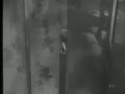 Trailer for The Killer Shrews (1959).mp4.8.gif