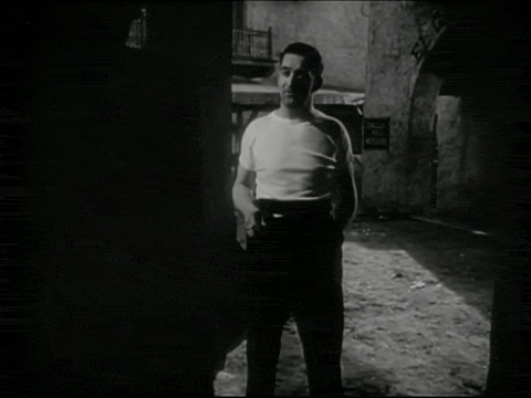 Trailer for The Lady from Shanghai (1947).mp4.4.gif