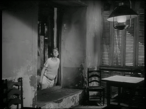 Trailer for The Lady from Shanghai (1947).mp4.5.gif