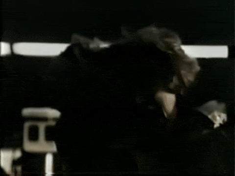 Trailer for Werewolf Of Washington (1973).mp4.4.gif