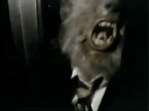 Trailer for Werewolf Of Washington (1973).mp4.7.gif