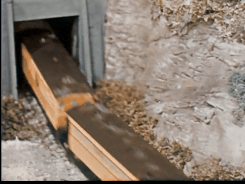 Visit to Santa (1963).mp4.9.gif