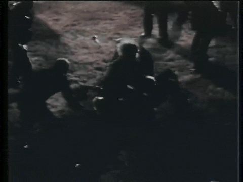 Werewolf of Washington (1973).mp4.9.gif