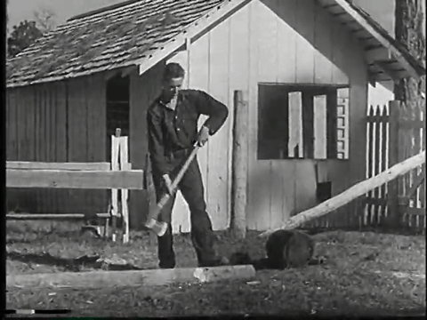 Why Not Live (1939).mp4.5.gif