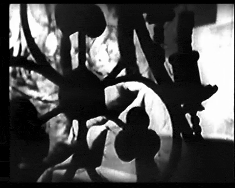 You Asked For It - Bela Lugosi (1951).mp4.1.gif